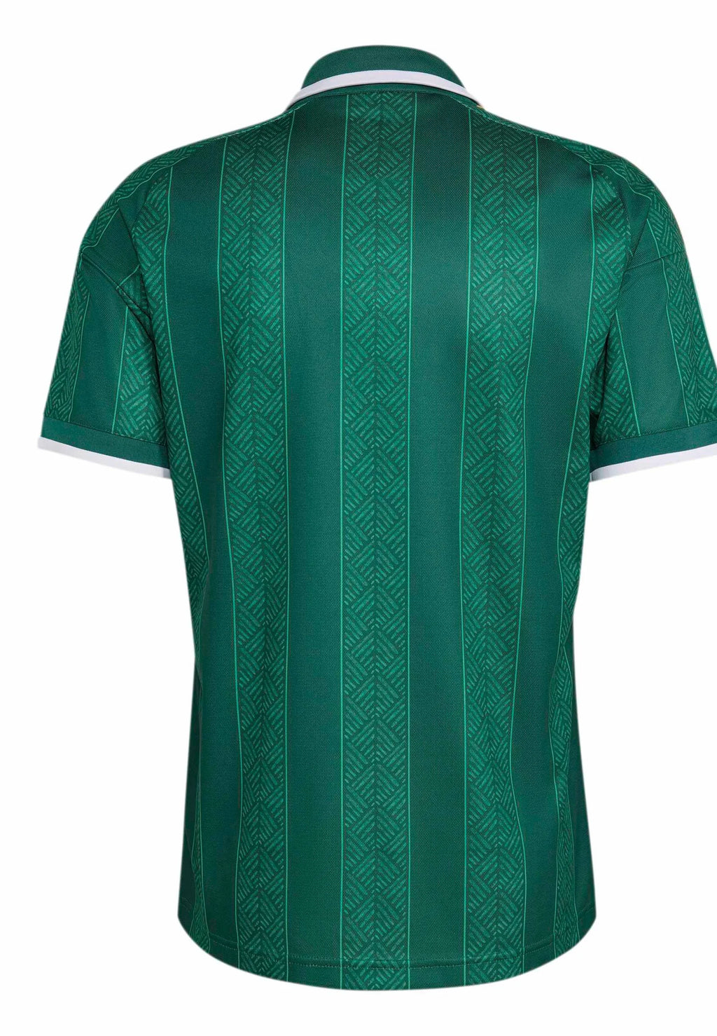 Camiseta Sudáfrica 2026 Visitante