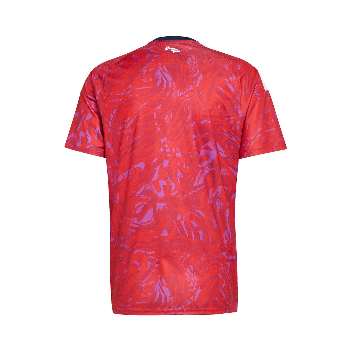 Camiseta Costa Rica 2026 Local